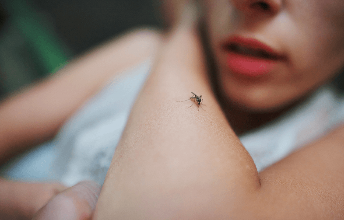 هذا الزيت الأساسي ينهي مشكلتك مع لسعات الناموس