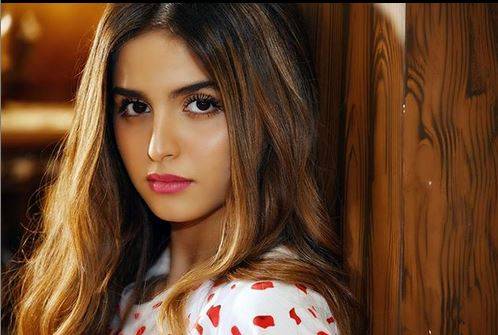 حلا الترك تعبّر عن موقفها من إنجاب دنيا بطمة لطفلة