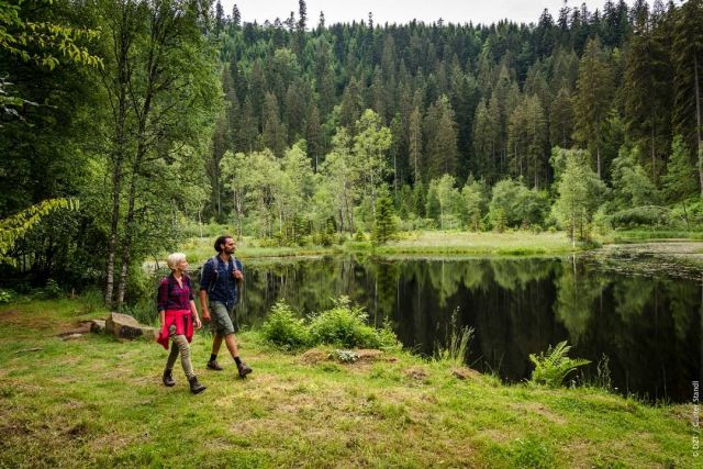 Destination Germany 2