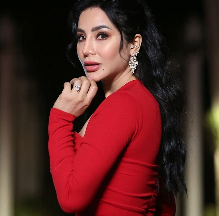 هذه الأقراط جمعت لجين عمران ونادين نسيب نجيم وياسمين عبد العزيز... ما سعرها؟