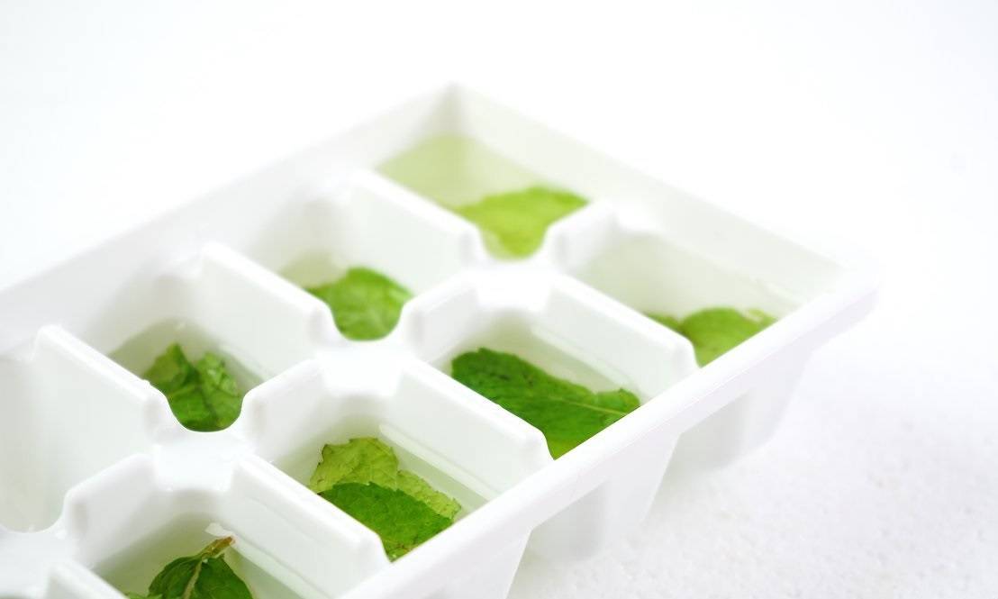 جرّبي هذه الطريقة لحفظ النعناع الأخضر لمدة طويلة