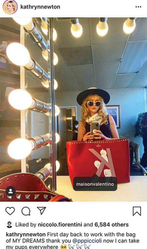 VALENTINO GARAVANI ROCKSTUD PET