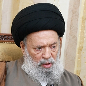 المرجع العلاّمة الراحل  السيّد محمد حسين فضل الله