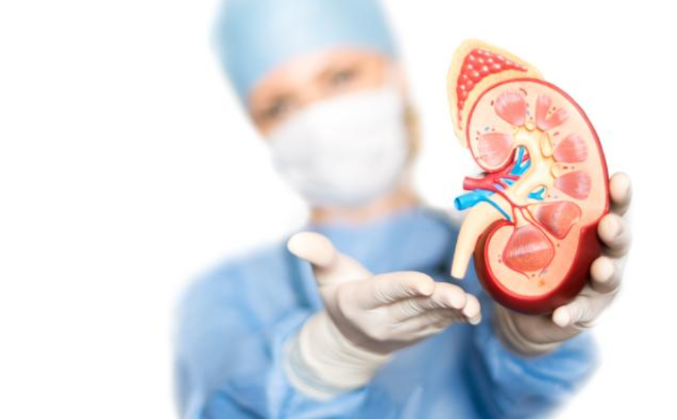 3 أخطاء نرتكبها جميعاً تُلحق الضرر بصحة الكلى