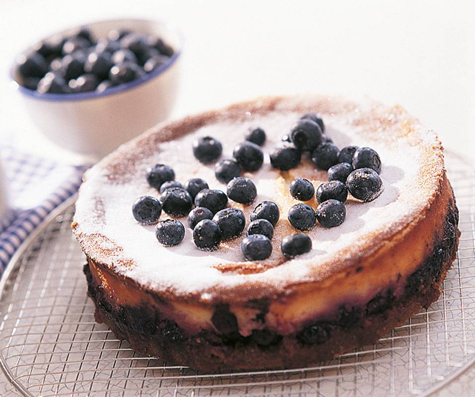 تشيزكايك التوت الأزرق