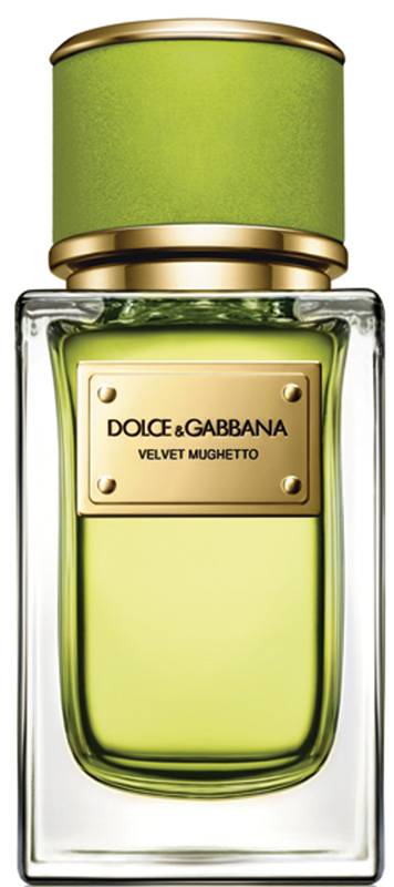 Dolce & Gabbana Velvet Mughetto