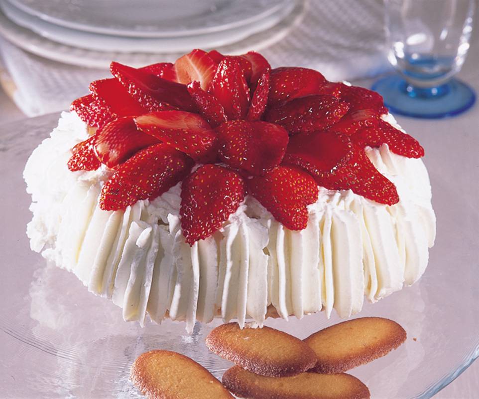 الزوكوتو مع الفريز