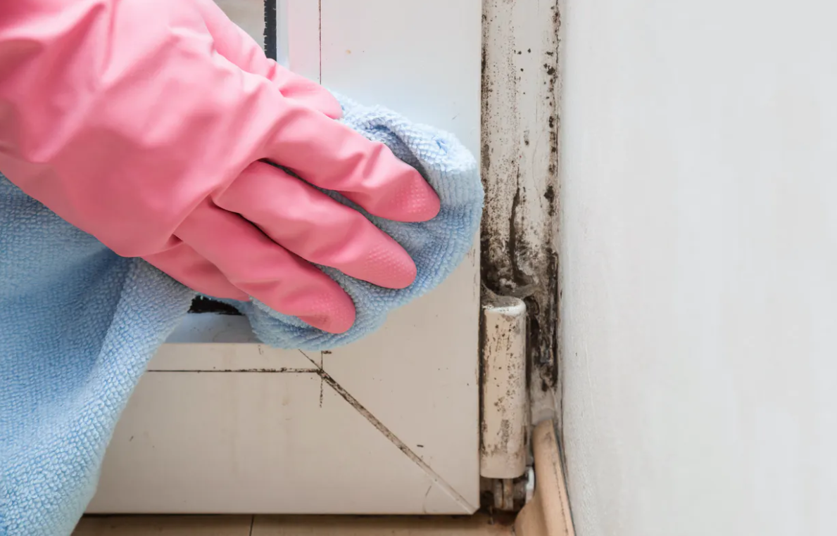 عفن الجدران أخطر مما تتصوّرون... يسبّب هذه الأمراض