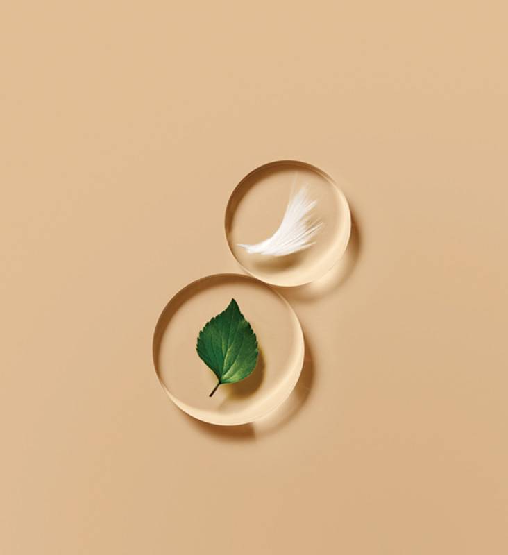 guerlain Grands INGREDIENT guerlain Grands INGREDIENT
