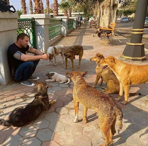 مقدم برامج أميركي يقضي إجازته بمصر في إطعام الكلاب الضالة