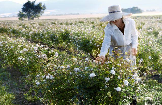 Lancôme تطلق برنامجاً جديداً يركّز على التنوع البيولوجي ومستقبل أجمل للنساء