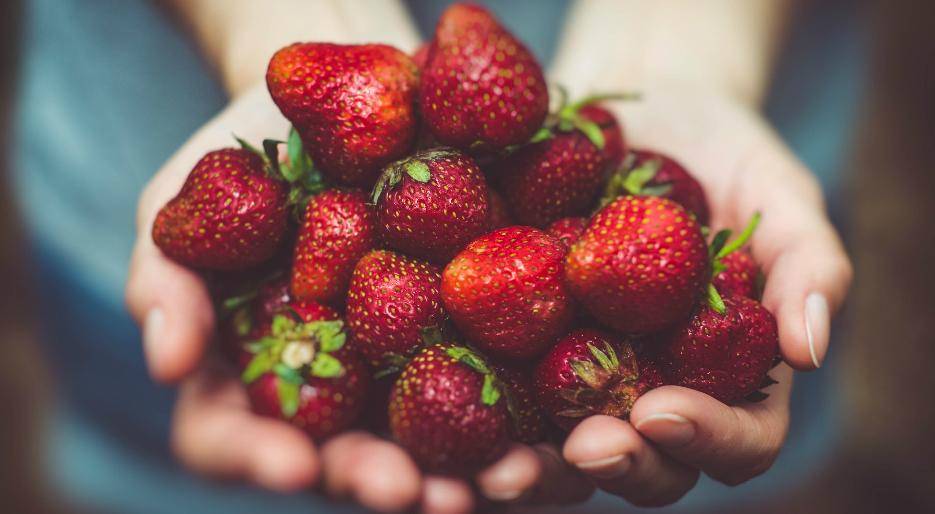 رجيم الفواكه الحمراء السريع هذه قواعده