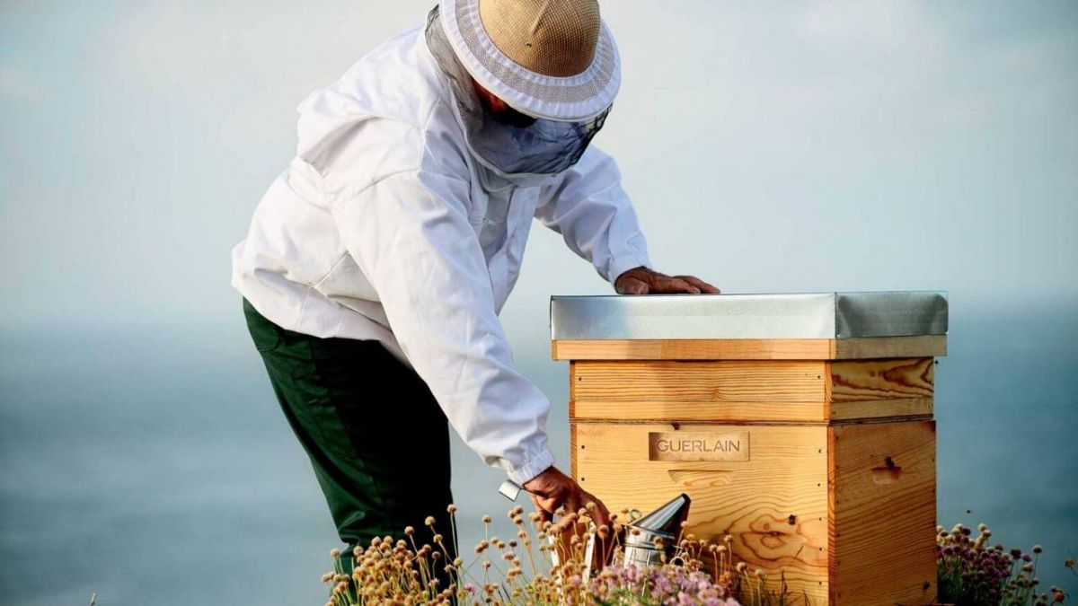 حكاية دار غيرلان والنحل