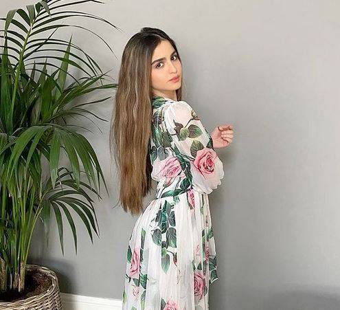 فيديو يوضح حقيقة خطوبة حلا الترك من فنان سوري