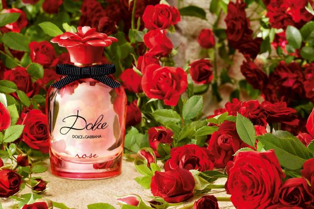 ماء التواليت الجديد Dolce Rose من Dolce &Gabbana