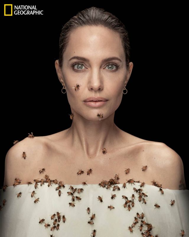 سربٌ من النحل يغطّي جسد أنجلينا جولي... و