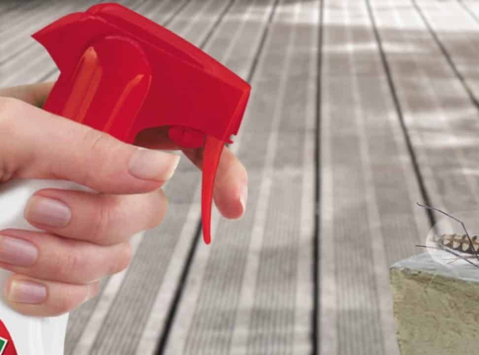 بالماء والعملة المعدنية... هكذا تبعدين الحشرات عن منزلك