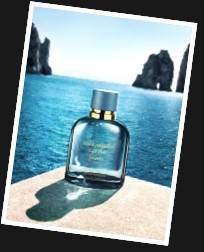 Light Blue Forever من 