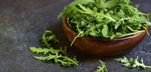 الجرجير بكل أشكاله يساعد على خسارة الوزن