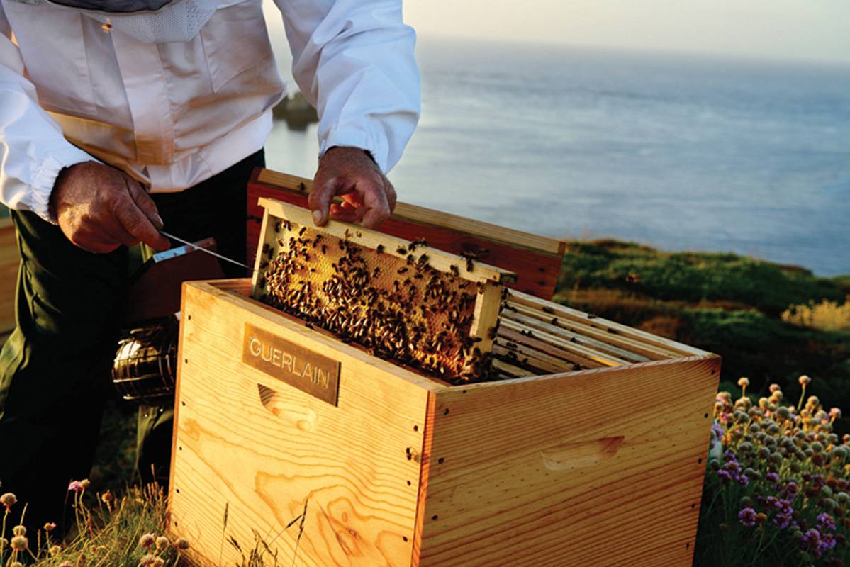 ‏Guerlain منذ العام 1828 والطبيعة مصدر إلهامها