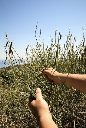 01_FENDI hand in hand Baguette_Calabria_Fabbrica Tessile Bossio