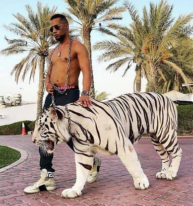 بالفيديو - بعد النمر.. هكذا يلهو محمد رمضان في دبي