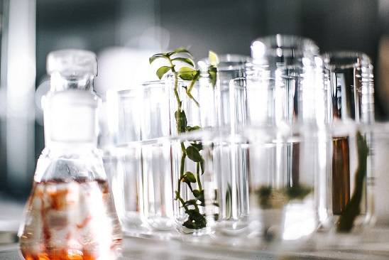 سيسلي باريس Sisley Paris تطلق موقع التجارة الالكترونية المخصص لدول مجلس التعاون الخليجي