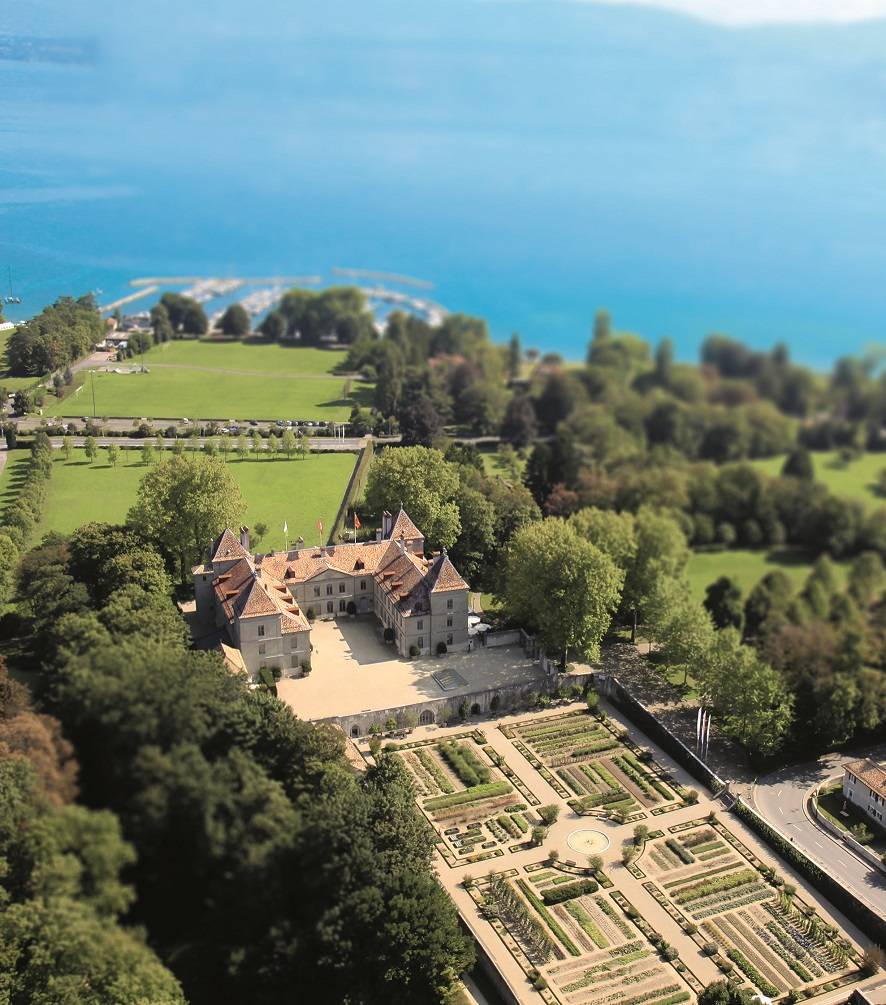 أفضل 7 أنشطة عائلية يمكنك تجربتها في منطقة 