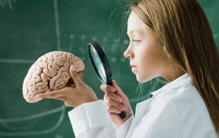 خطوات بسيطة للحفاظ على صحة الدماغ وإبعاد الأمراض عنه