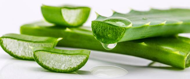 الألوفيرا الأكثر فعاليةً لمحاربة حَبّ الشباب... إليكم الخطوات