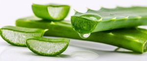 الألوفيرا الأكثر فعاليةً لمحاربة حَبّ الشباب... إليكم الخطوات