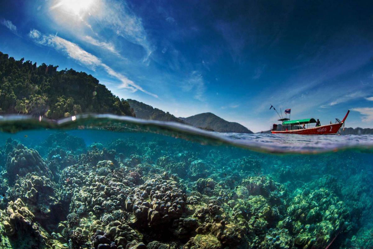 هيئة السياحة التايلندية تعلن عن برنامج 