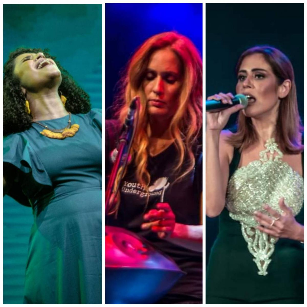 بالصور - نسمة محجوب وصابرين الحسامي وبانه يشعلن ثاني ليالي مهرجان 