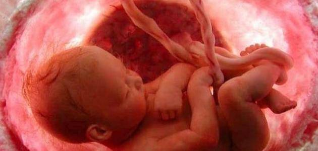 لن تصدّقي تأثير الباراسيتامول الخطِر في الجنين