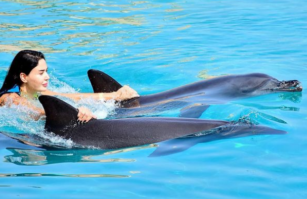 بالصور - سيرين عبد النور تسبح مع عائلتها والدلافين