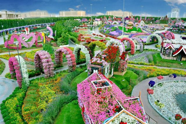 Dubai Miracle Garden