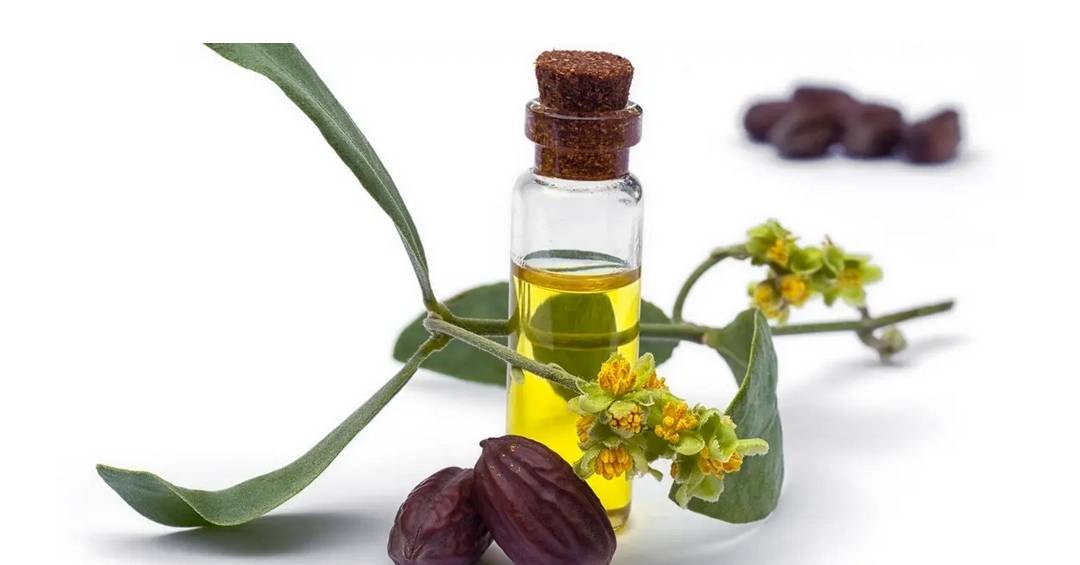 جرّبي زيت الجوجوبا لترطيب البشرة وشدّها