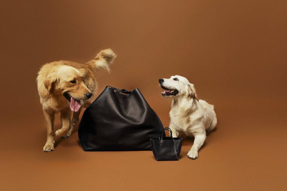 حقائب صغيرة مميزة من Carolina Herrera