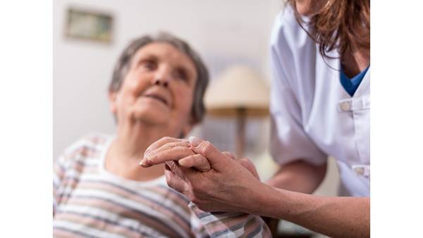 عنصر غذائي يحمي دماغ كبار السنّ من الأمراض