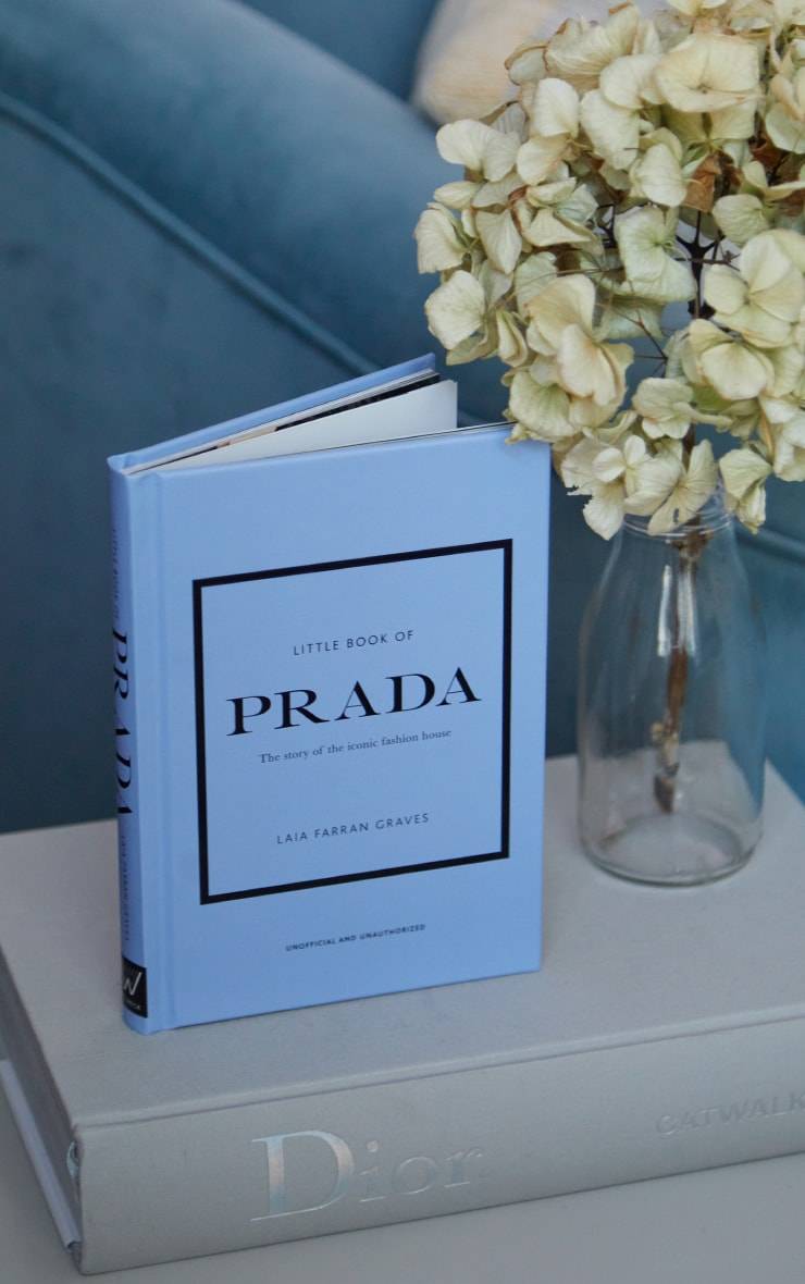 BLUE THE LITTLE BOOK OF PRADA