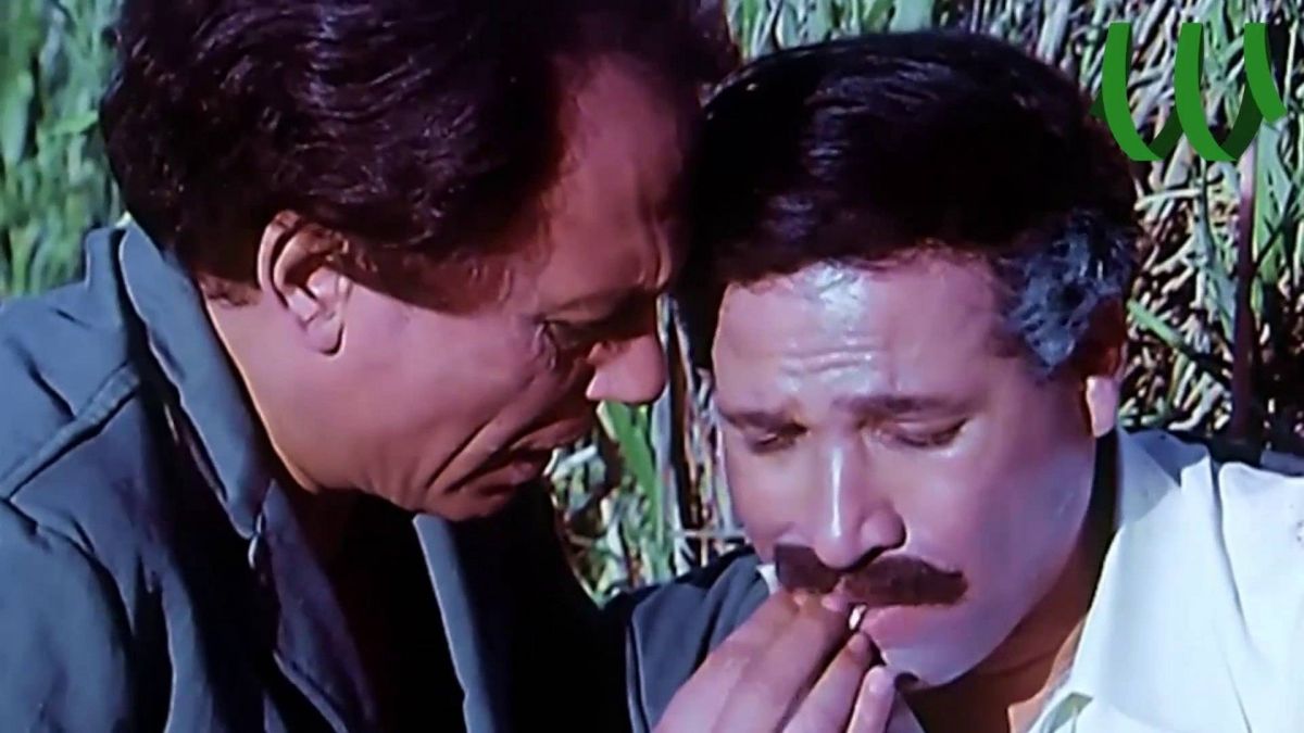 بالفيديو - ابنة سعيد صالح: 