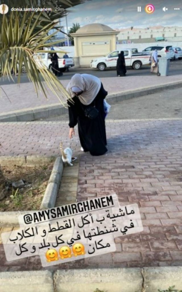 منشور دنيا سمير غانم