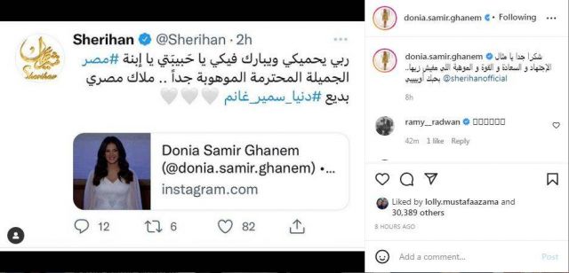 منشور دنيا سمير غانم