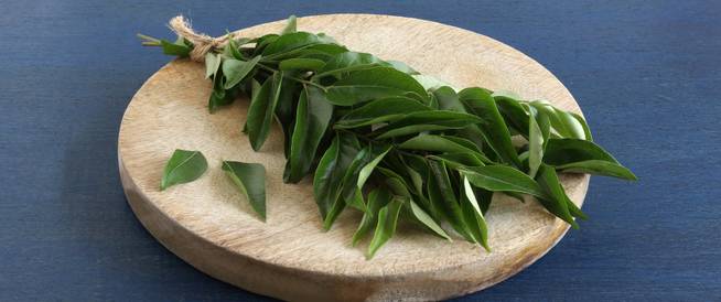 هذه أوراق الخضراء تحمي من مرض الزهايمر