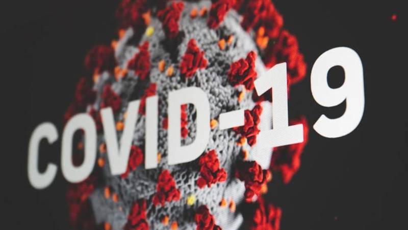 دراسة صادمة: وفيات كورونا أعلى 3 مرّات من الأرقام المعلنة