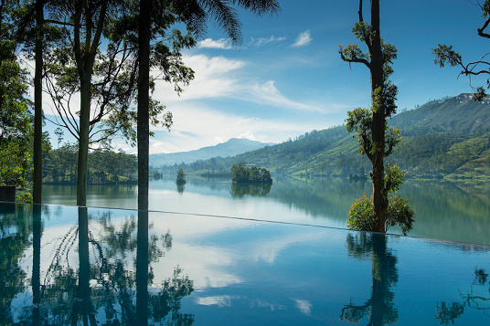 Tea Trails Pool Summerville