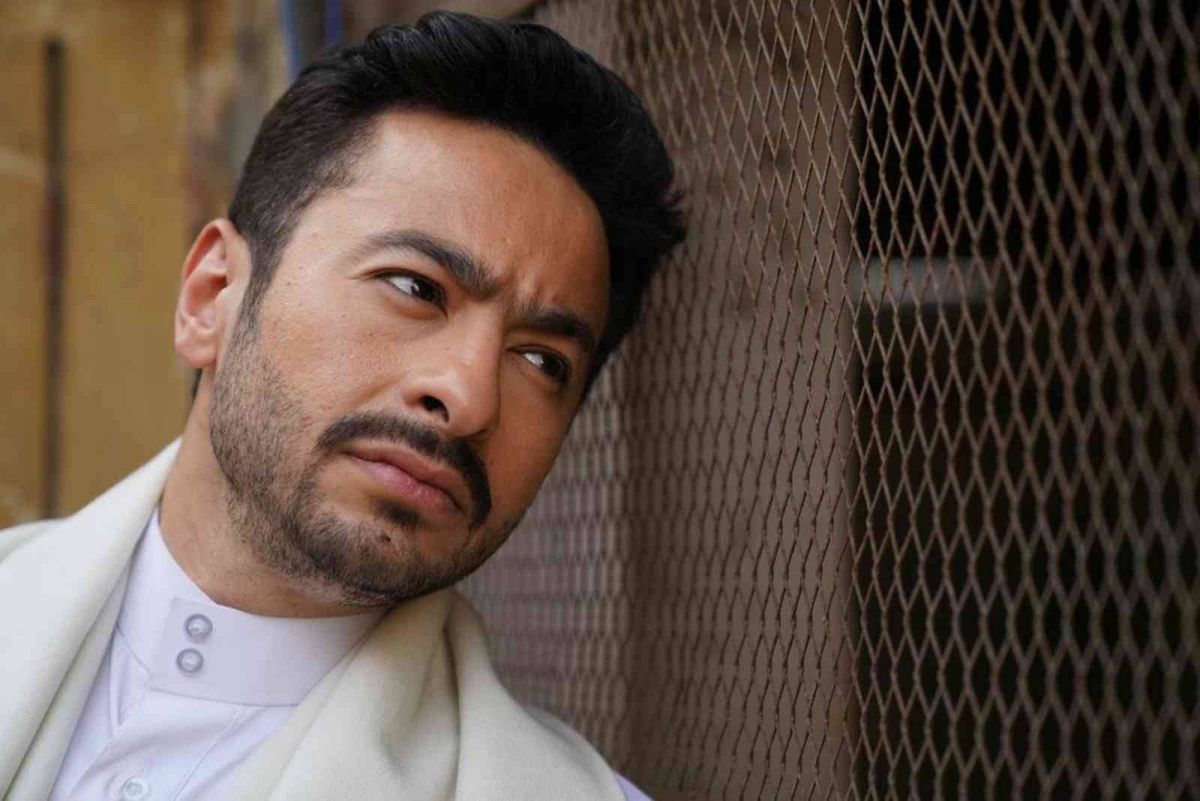 بالفيديو - حمادة هلال: 