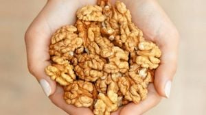 هل تعانين من السكري؟ الحلّ في 14 حبّة من الجوز