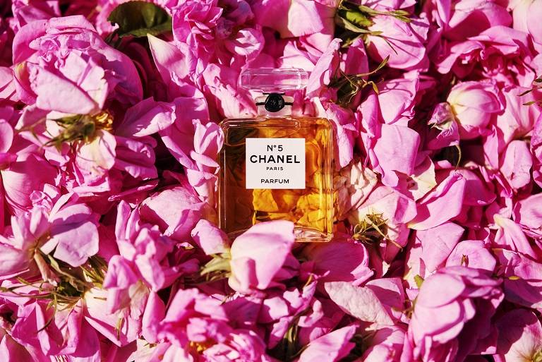 وردة مايو في حقول 