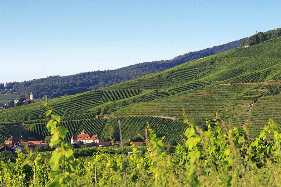 بادن بادن... اكتسبوا الصحة والعافية في مياه المدينة الدافئة